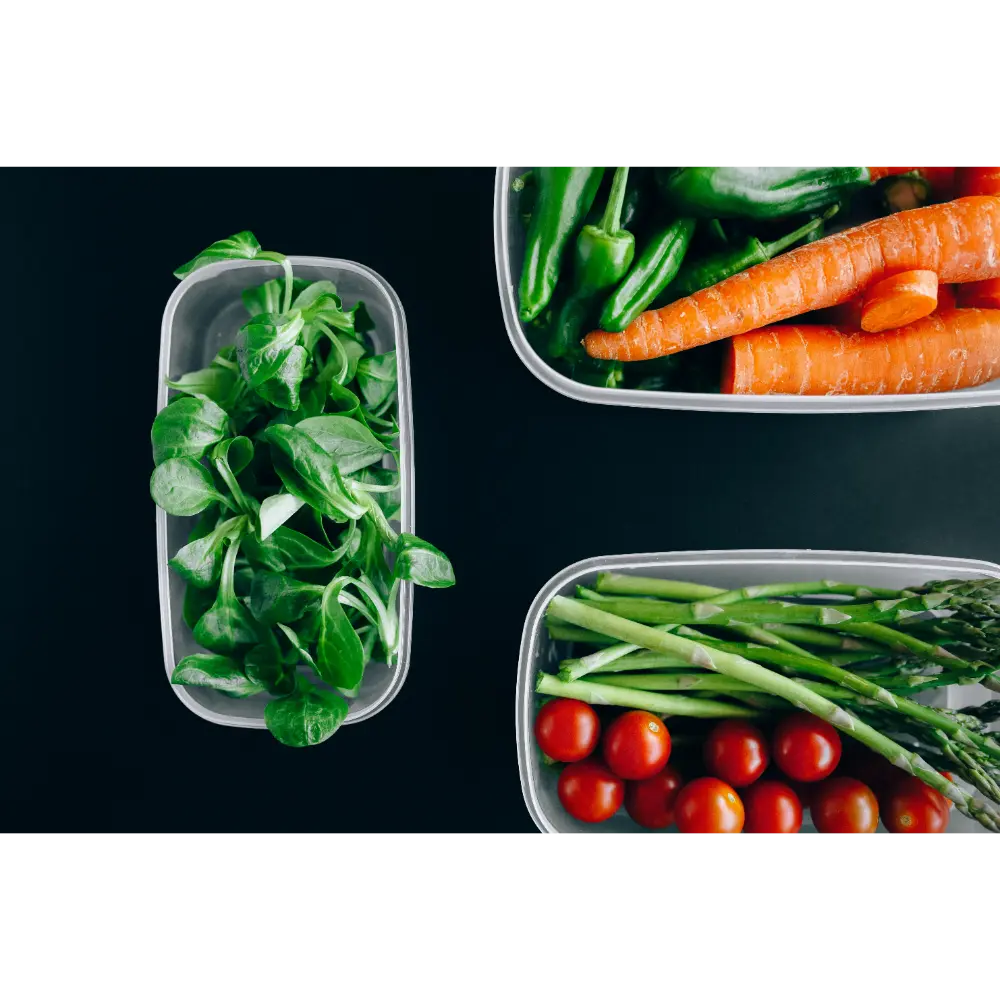 Plastic Food Container